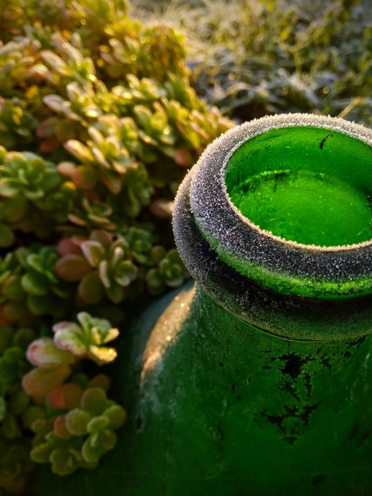 Aller à l&rsquo;essentiel