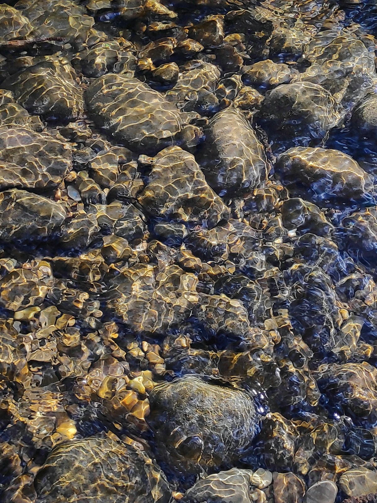 En toute transparence